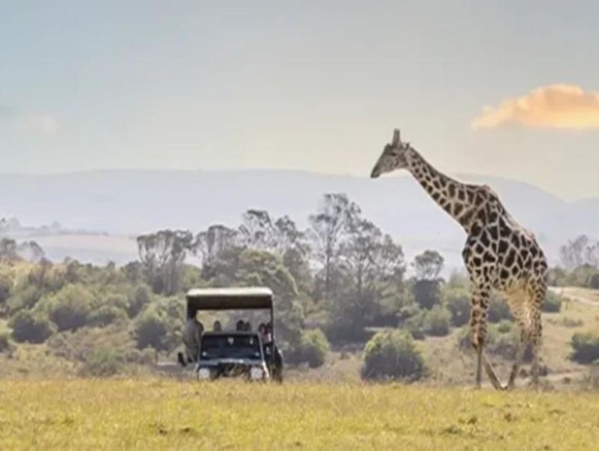 From Cape Town: Round-Trip to Aquila With Game Drive - Booking Information