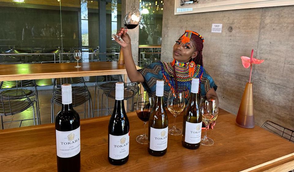 From Cape Town: Stellenbosch & Franschhoek Wine Tasting Tour - Tour Review Summary