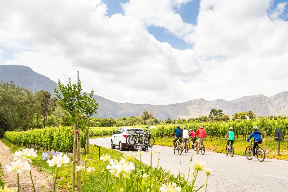 From Cape Town: Winelands Cycling Tour - Customer Reviews