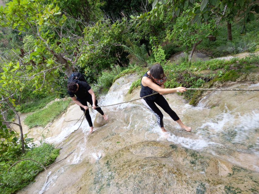 From Chiang Mai: Sticky Waterfall Hike & Mountain Bike Ride - Experience Highlights