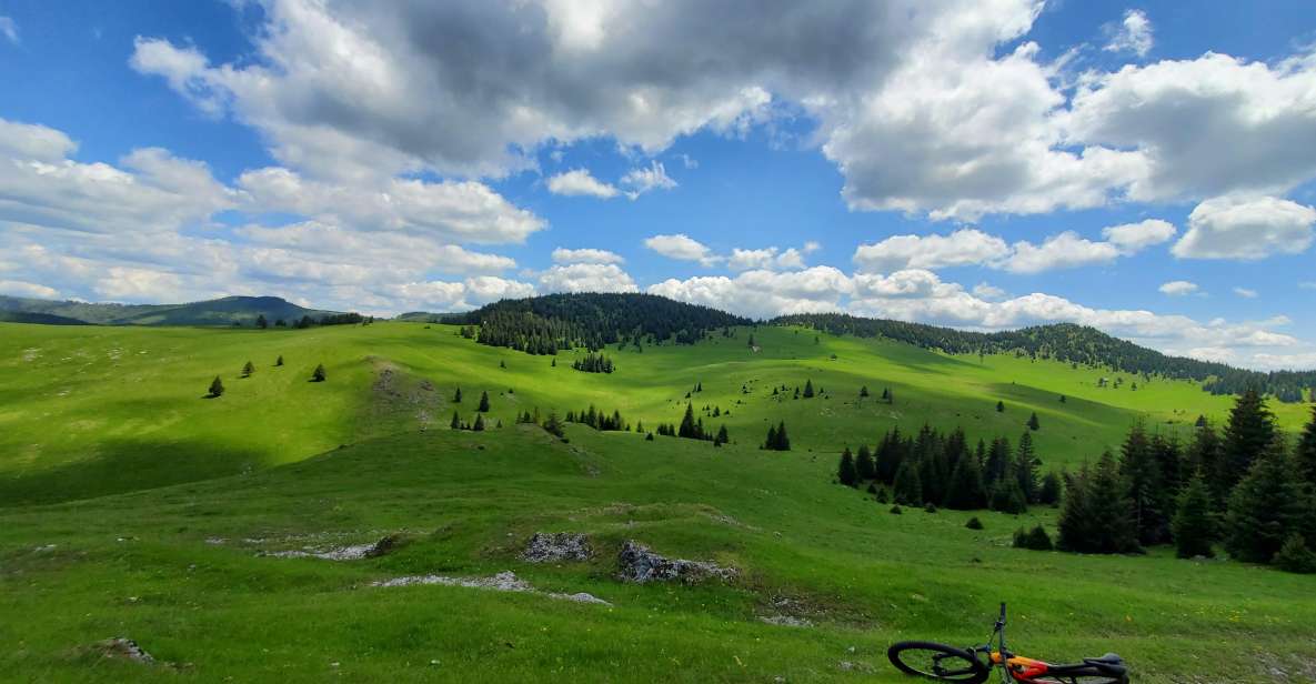From Cluj-Napoca: Carpathian Mountains Guided Scenic Hike - Inclusions and Meals