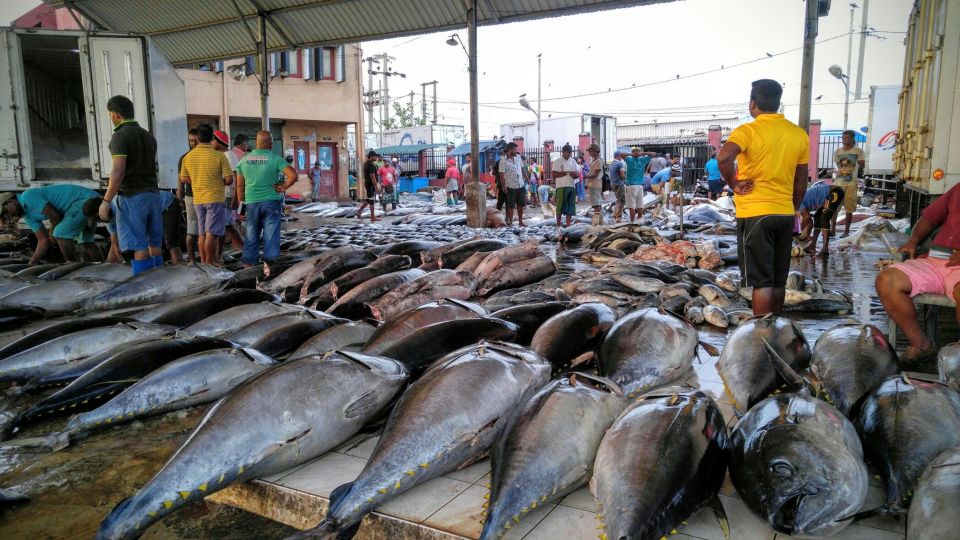From Colombo: Negombo Beaches 5-Day Break & Catamaran - Negombo Fish Market Experience