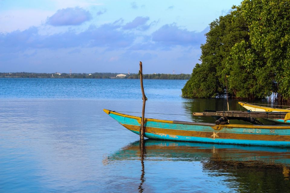 From Colombo: Negombo Lagoon (Mangrove )Boat Excursion - Full Experience Description of the Excursion