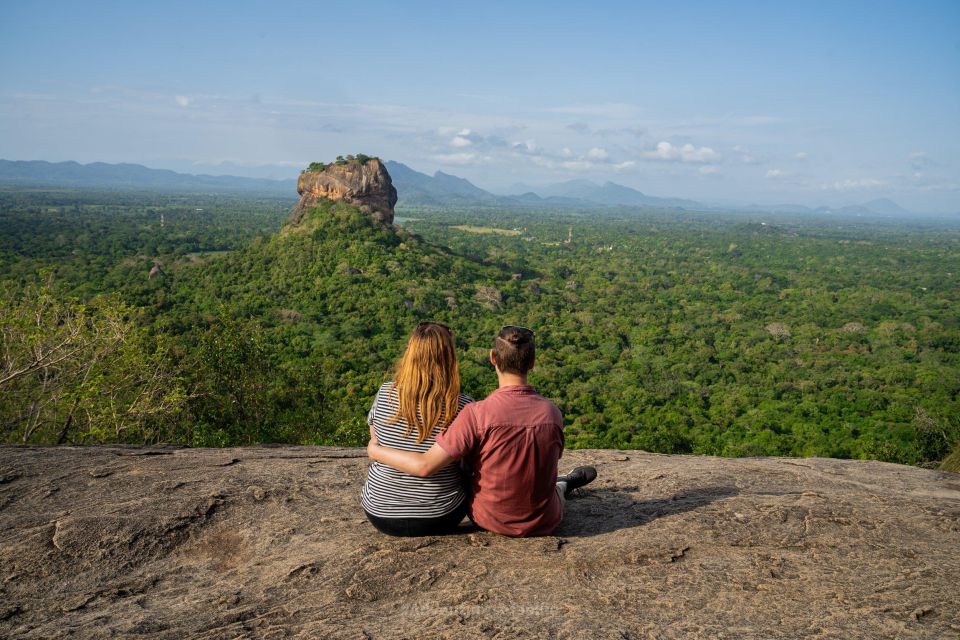 From Colombo: Pidurangala Rock and Minneriya Safari Day Tour - Key Highlights