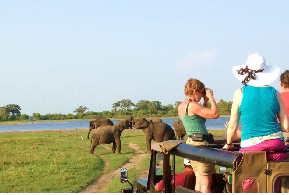 From Dambulla/ Sigiriya: Safari at Minneriya National Park - Highlights