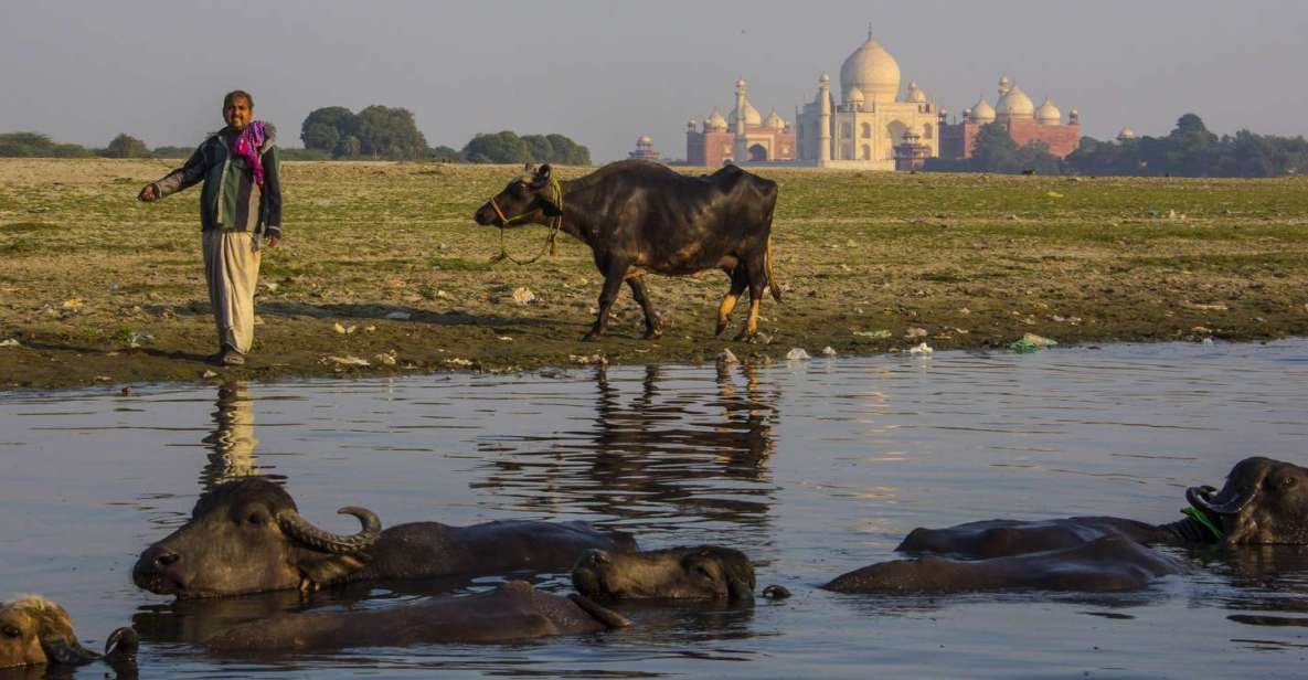 From Delhi: 3 Day Golden Triangle Luxury Tour - Booking and Cancellation Policy