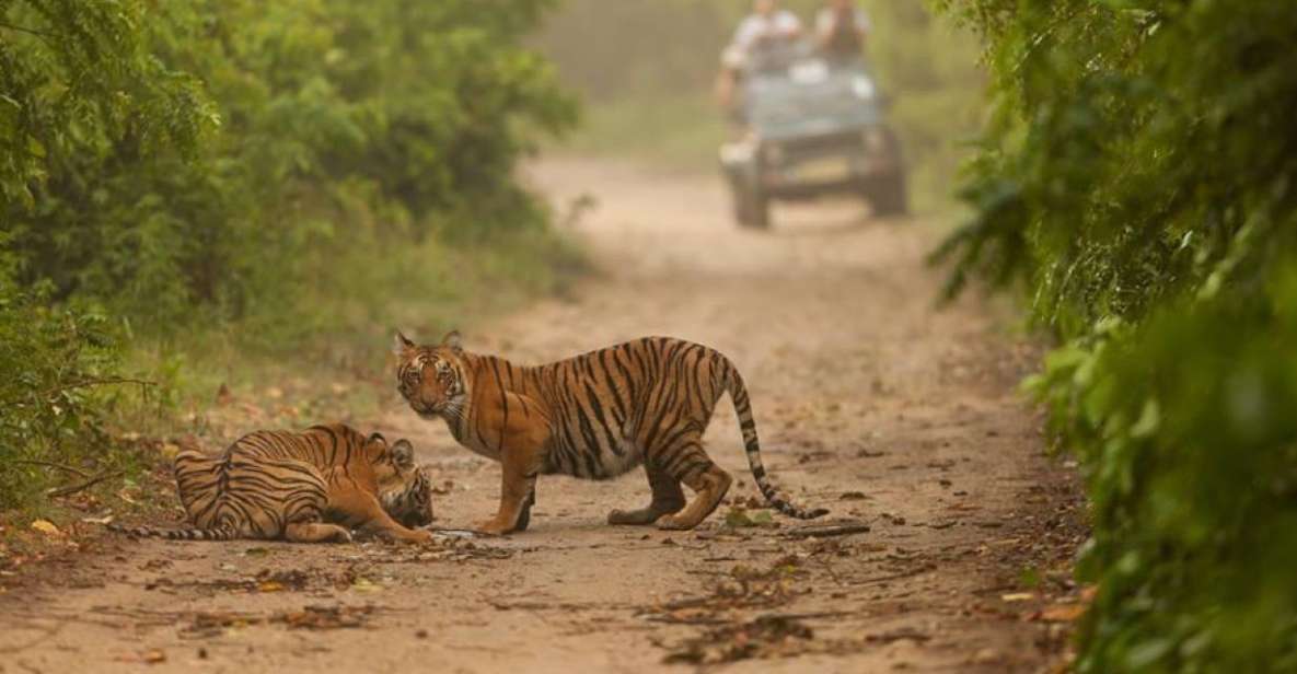 From Delhi: Golden Triangle & Ranthambore Tiger Safari 4 Day - Inclusions and Exclusions