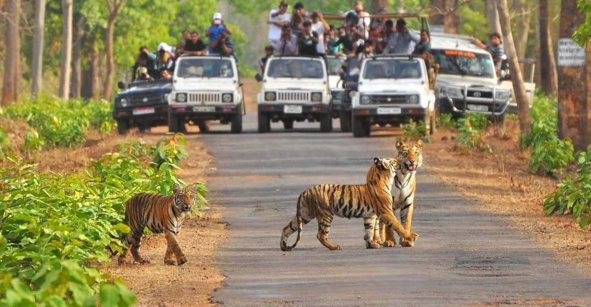 From Delhi: Jim Corbett National Park Tour by Car - Tour Itinerary
