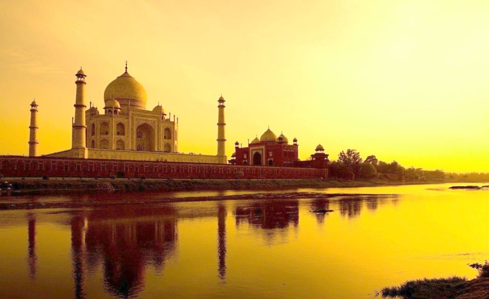 From Delhi: Private Golden Triangle Tour With Tiger Safari - Wildlife Experience
