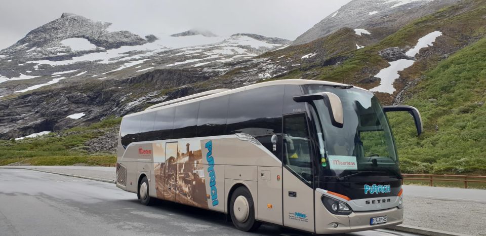 From Dresden: Prague Guided Day Trip by Coach - Customer Reviews