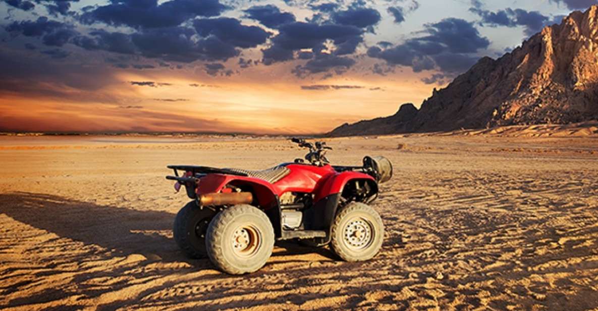 From EL Gouna: ATV Quad Safari, Bedouin Village & Camel Ride - Full Description
