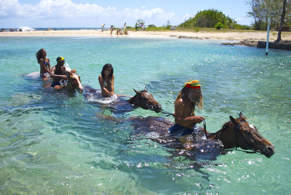 From Falmouth: Horseback Ride N Swim With Green Grotto Caves - Activity Highlights