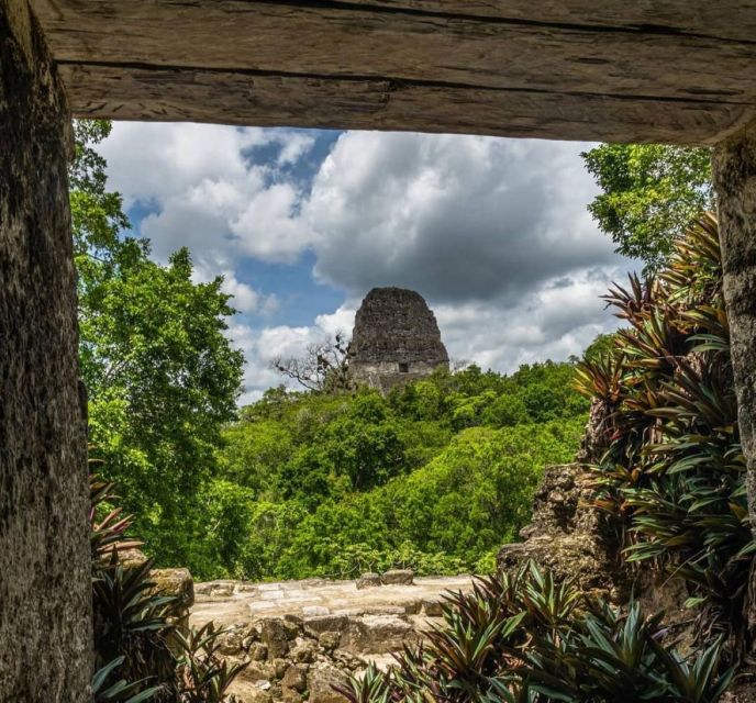 From Flores: Tikal National Park Private Day Trip With Lunch - Tikal National Park Description