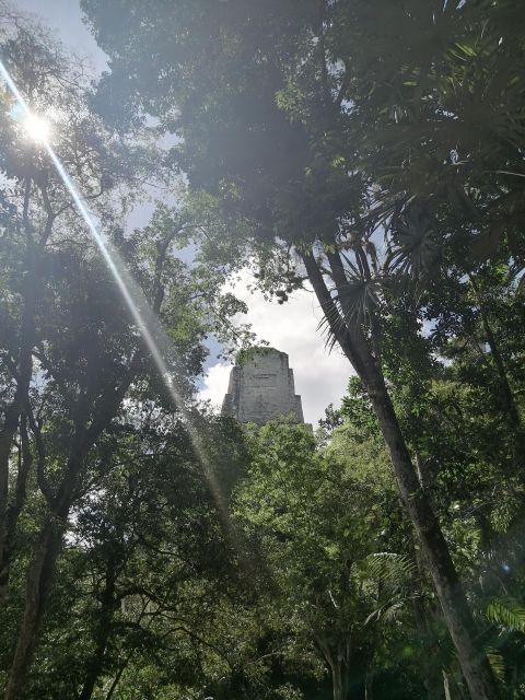 From Flores: Tikal Private Day Tour Exclusive - Tour Highlights