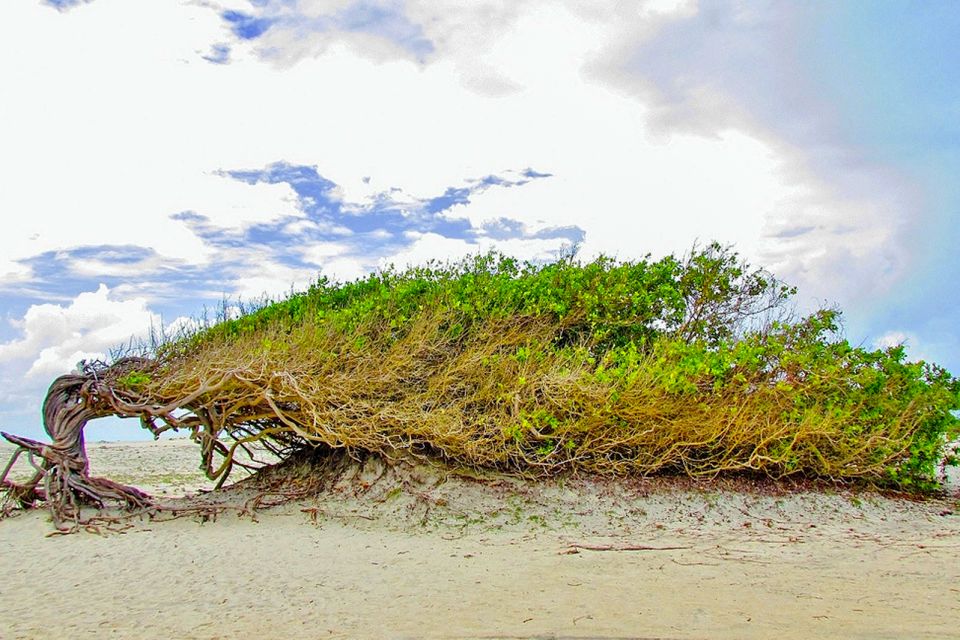 From Fortaleza: Day Trip to Jericoacoara - Inclusions