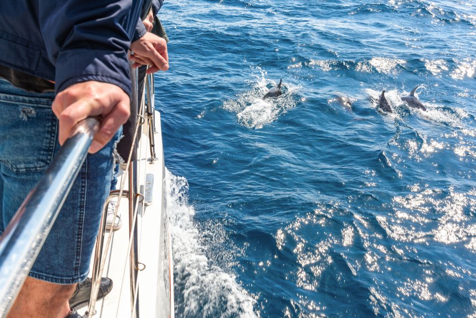 From Funchal: Madeira Dolphin and Whale Watching Tour - Booking Information