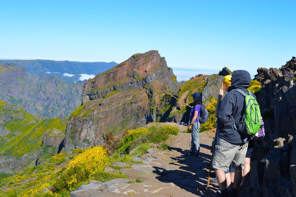 From Funchal: Madeira Peaks Mountain Walk - Customer Reviews for Madeira Peaks Mountain Walk