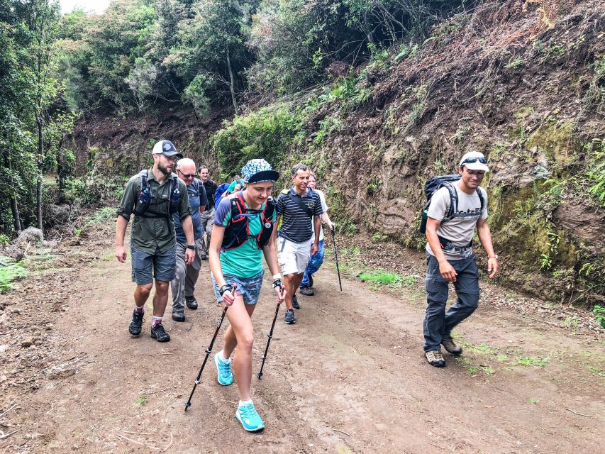From Funchal or Caniço: Private Hiking Trip With a Local - Reservation Flexibility and Gift Options