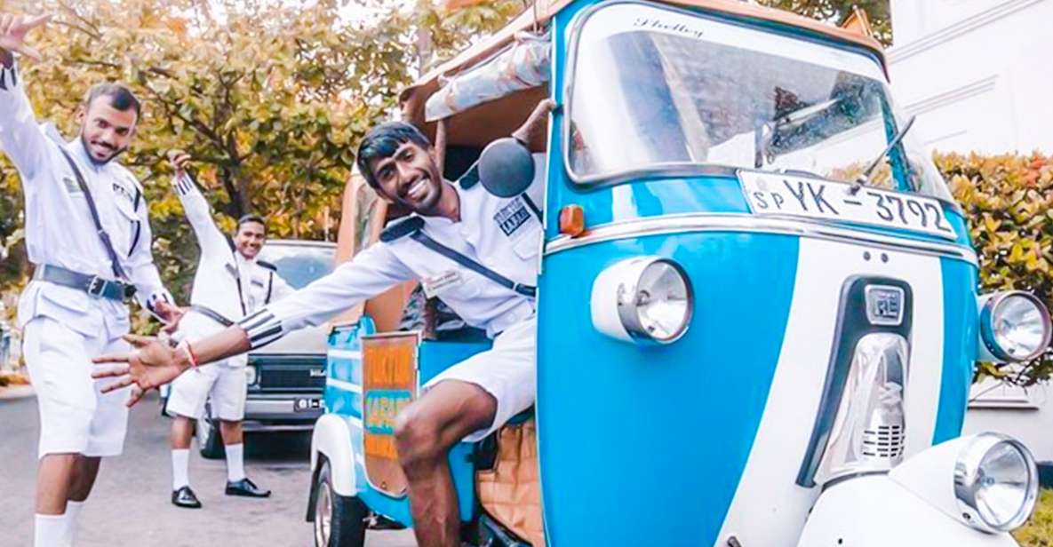 From Galle: Morning or Evening Beach Safari by TukTuk - Itinerary