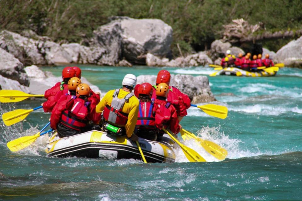 From Gardiner: Yellowstone River Whitewater Rafting & Lunch - Experience Highlights