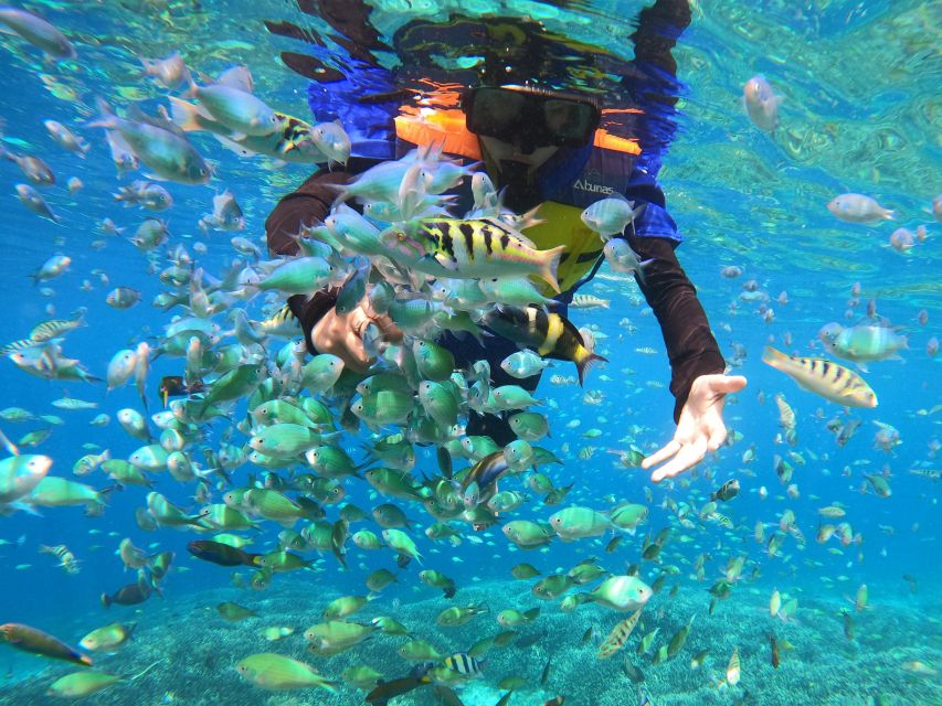 From Gili Trawangan: Gili Islands Snorkeling Tour by Boat - Activity Description