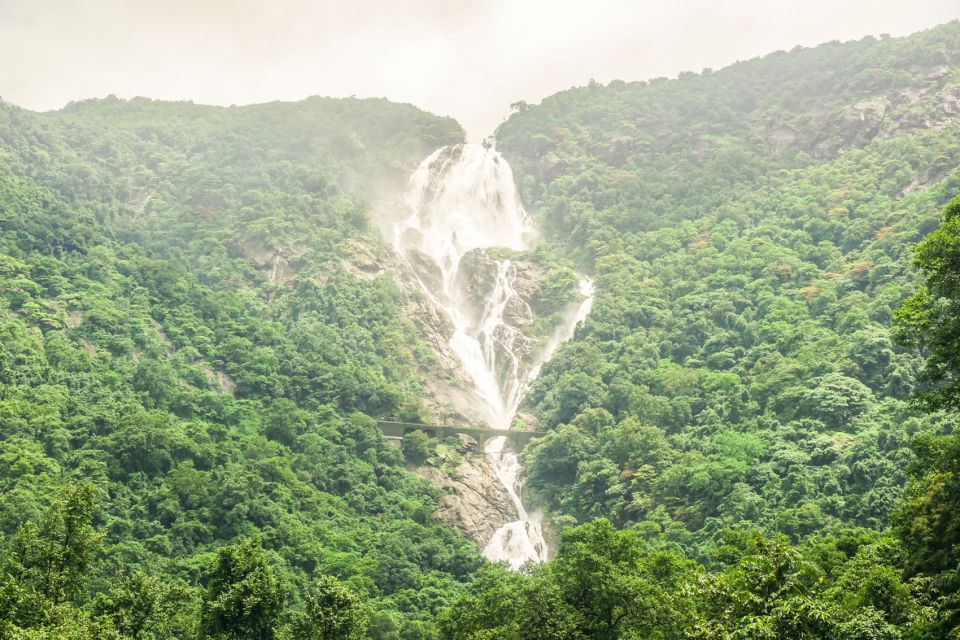 From Goa: Dudhsagar Waterfalls & Plantation Tour - Trip Information