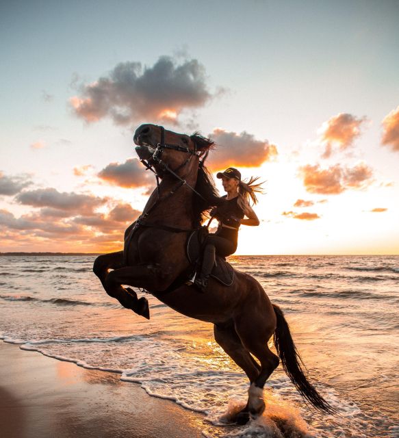 From Hurghada: Makadi Bay Horse Riding Tour - Review Summary