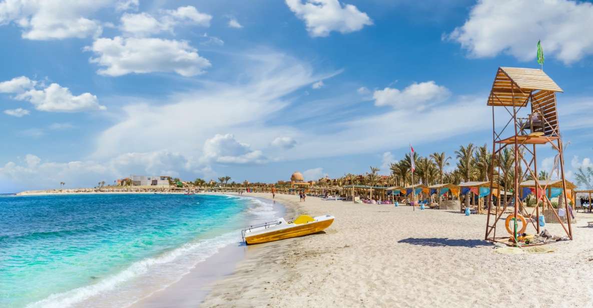 From Hurghada: Snorkeling Trip in Abu Dabbab With Transfers - Activity Highlights