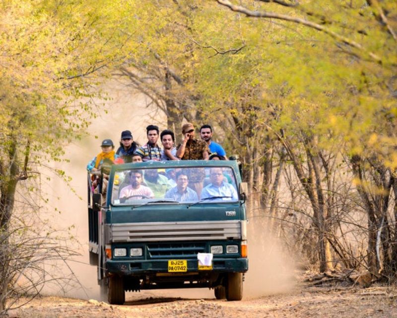 From Jaipur: Guided Ranthambore Tour With Cab - Safari Adventure