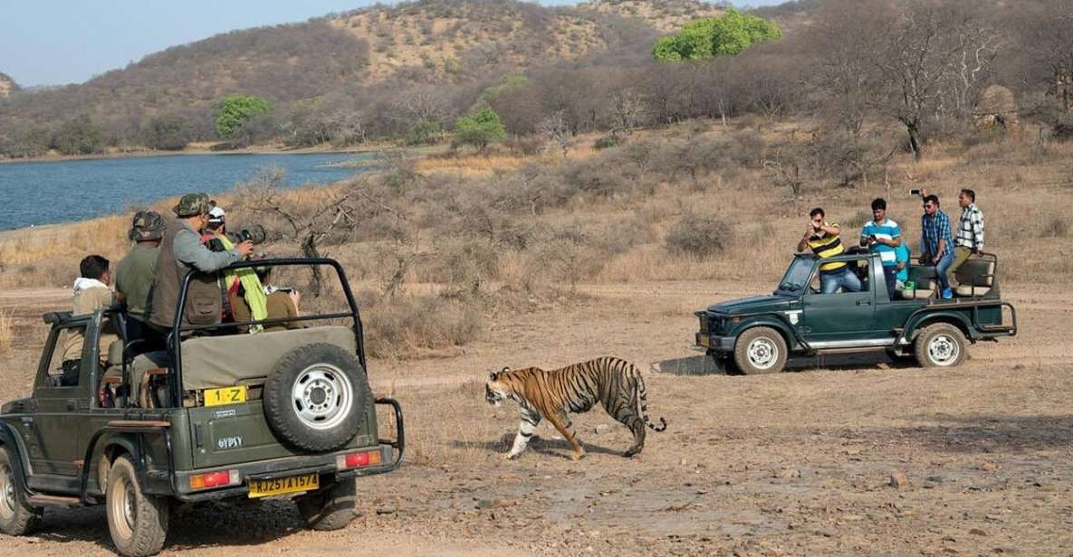 From Jaipur: Overnight Ranthambore Tiger Safari Private Tour - Highlights