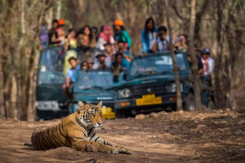 From Jaipur:Ultimate Jaipur to Ranthambore Jeep Safari Tour - Tour Highlights