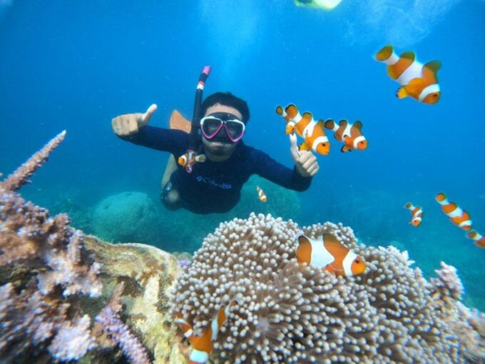 From Jepara: Karimunjawa Archipelago 3-Day Snorkeling Tour - Pricing and Booking