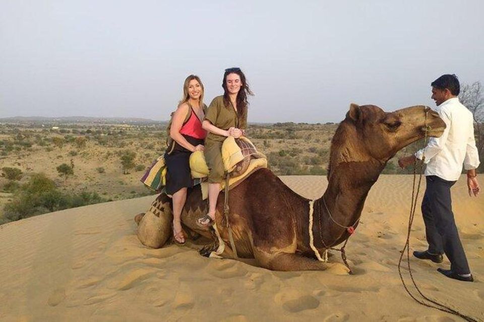 From Jodhpur : Camel Safari , Buffet Dinner Folk Dance - Activity Highlights