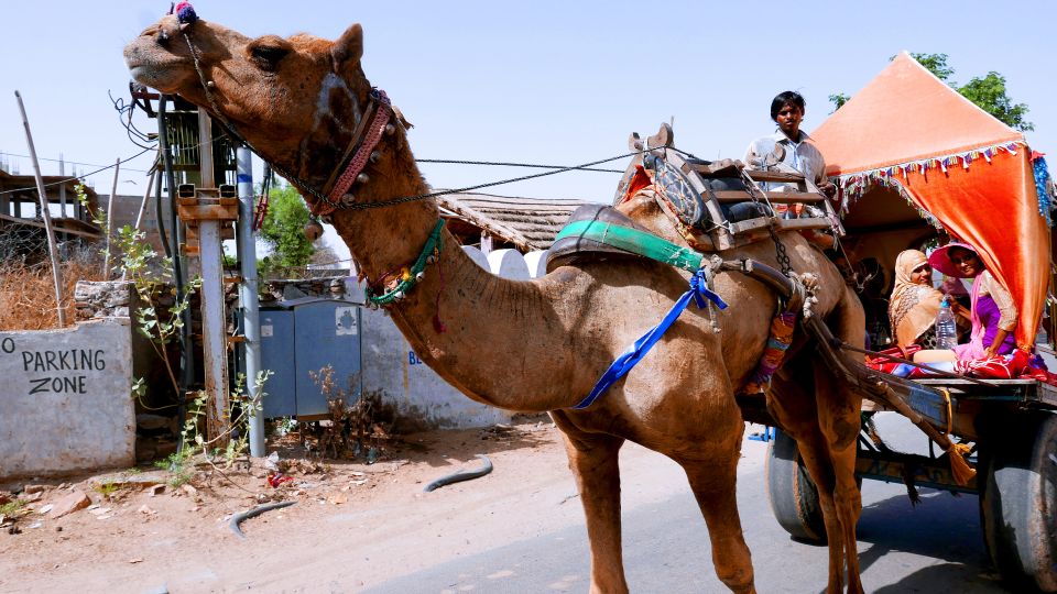 From Jodhpur: Self-Guided Pushkar Day Trip - Directions