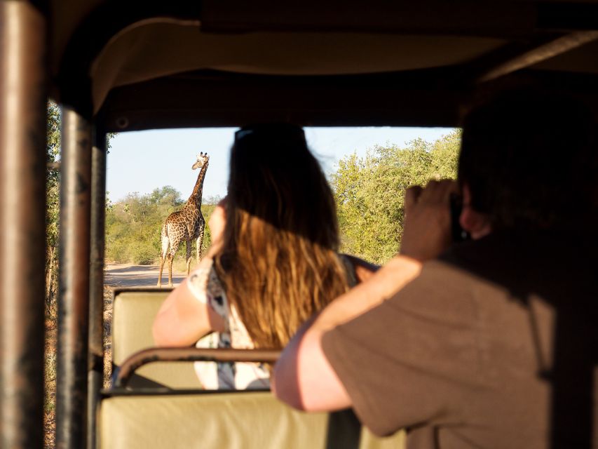 From Johannesburg: 3-Day Budget Kruger National Park Safari - Full Itinerary