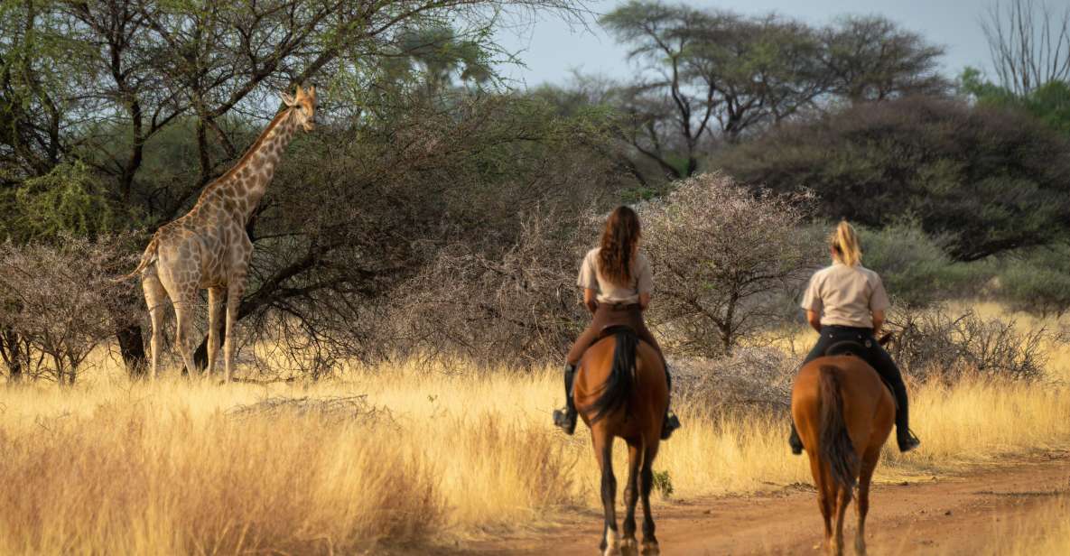 From Johannesburg: Horse-Riding Safari and Cable Car Tour - Booking Information