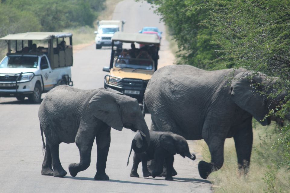 From Johannesburg: Kruger National Park 3-Day Safari - Experience Highlights