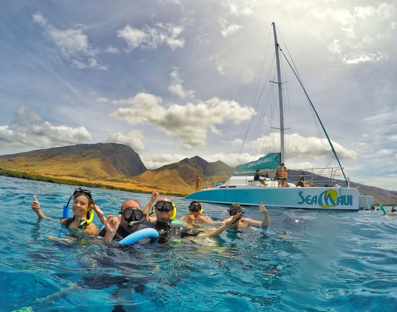 From Kaanapali: Afternoon West Maui Snorkeling & Sea Turtles - Full Description