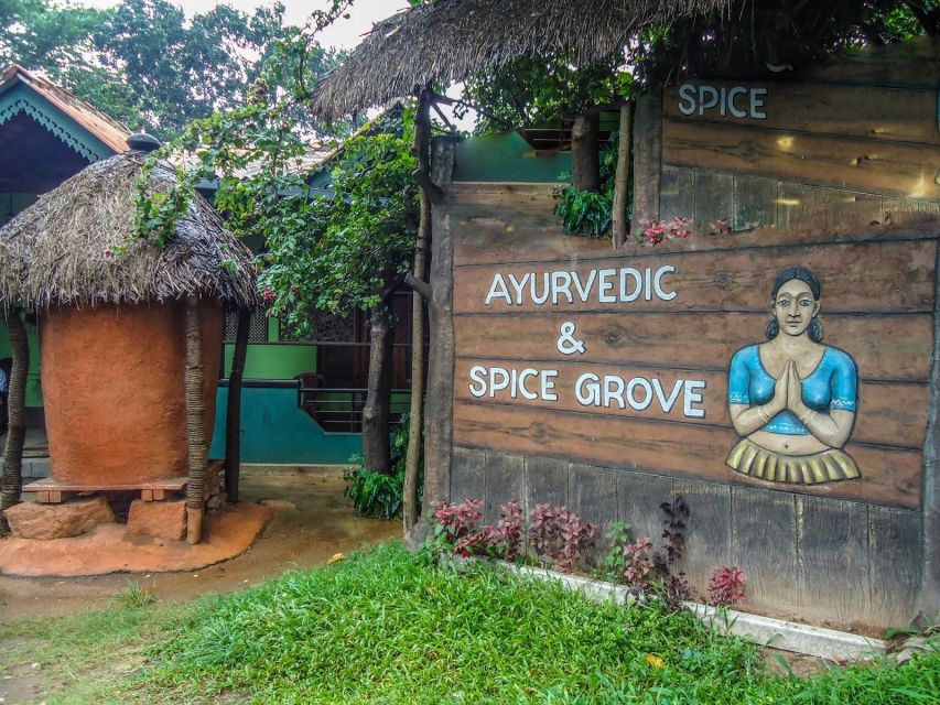 From Kandy: Sigiriya Rock and Dambulla Cave Temple Day Tour - Herbal and Spice Garden Visit
