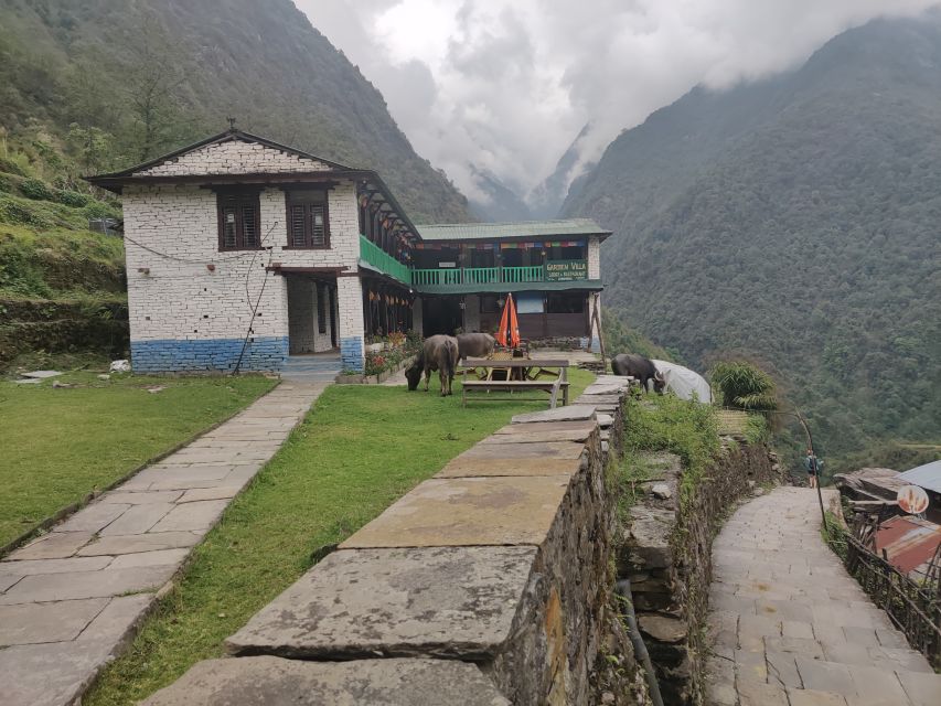 From Kathmandu: 7-Day Annapurna Basecamp Trek - Trekking to Sinuwa and Deurali