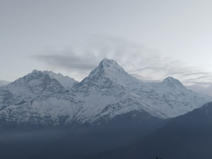 From Kathmandu: 7 Nights 8 Days Poon Hill Trek - Inclusions and Services