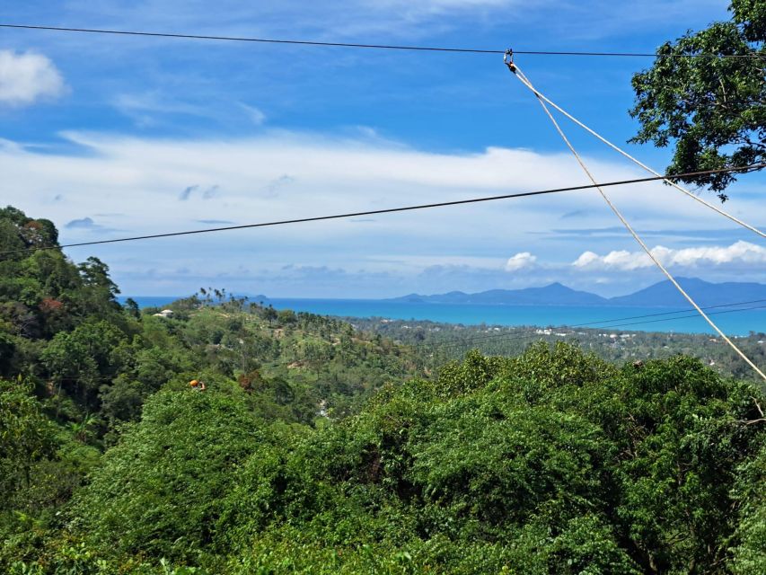 From Koh Samui: Tree Bridge Zipline and Café Experience - Activity Highlights and Attractions