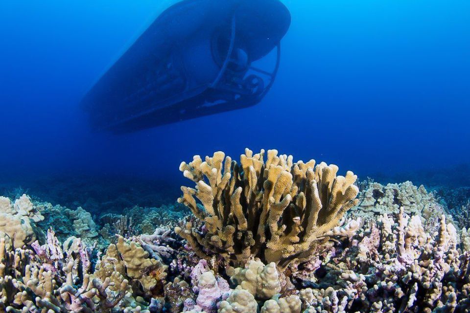 From Kona: Big Island Underwater Submarine Adventure - Booking Details