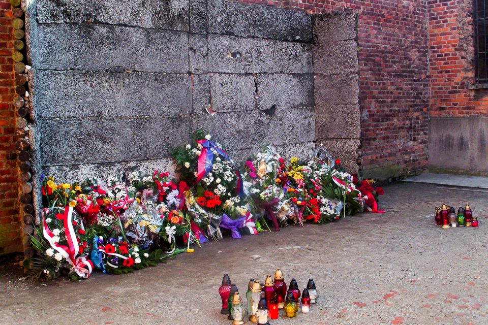 From Krakow: Auschwitz-Birkenau Self-Guided Tour - Entrance Requirements