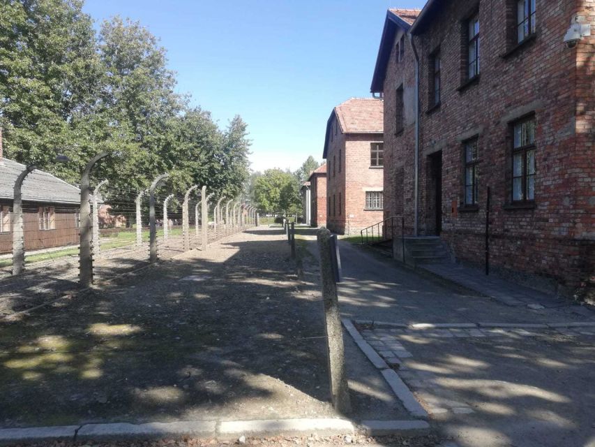 From Krakow: Auschwitz-Birkenau Self-Guided With Guidebook - Additional Information