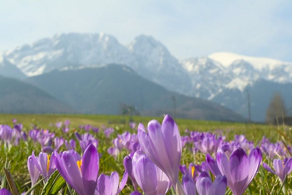 From Krakow: Full-Day Tour of Zakopane and Tatra Mountains - Reserve & Payment Options