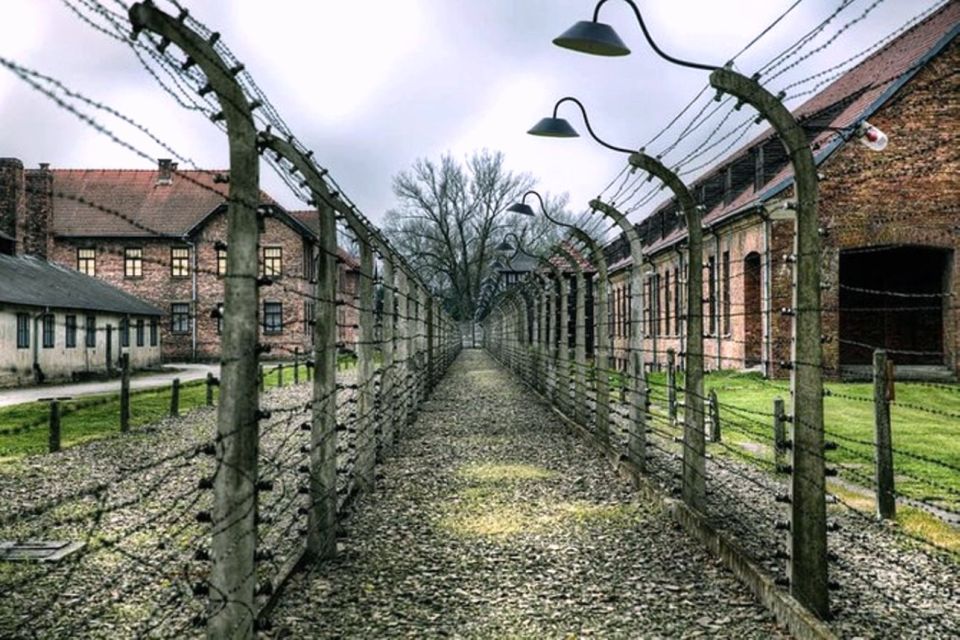 From Krakow: Guided Auschwitz-Birkenau Group Tour by Minivan - Small Group and Pickup Details