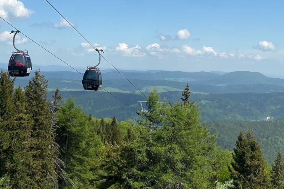 From Krakow: Krynica Zdrój & Mountain Tour With Rooftop Walk - Transportation and Guides