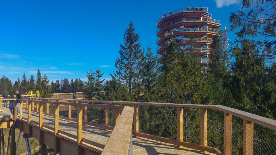 From Krakow: Slovakia Treetop Walk, Zakopane & Thermal Spa - Review Summary