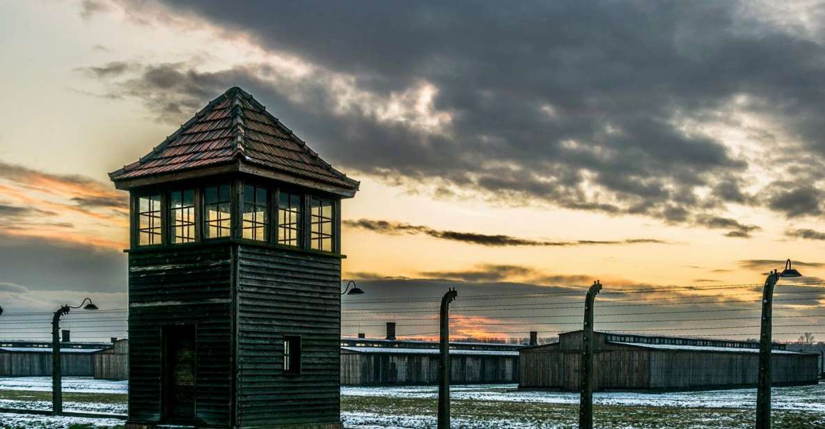 From Krakow: Transport & Self-Tour of the Auschwitz-Birkenau - Reviews and Visitor Feedback